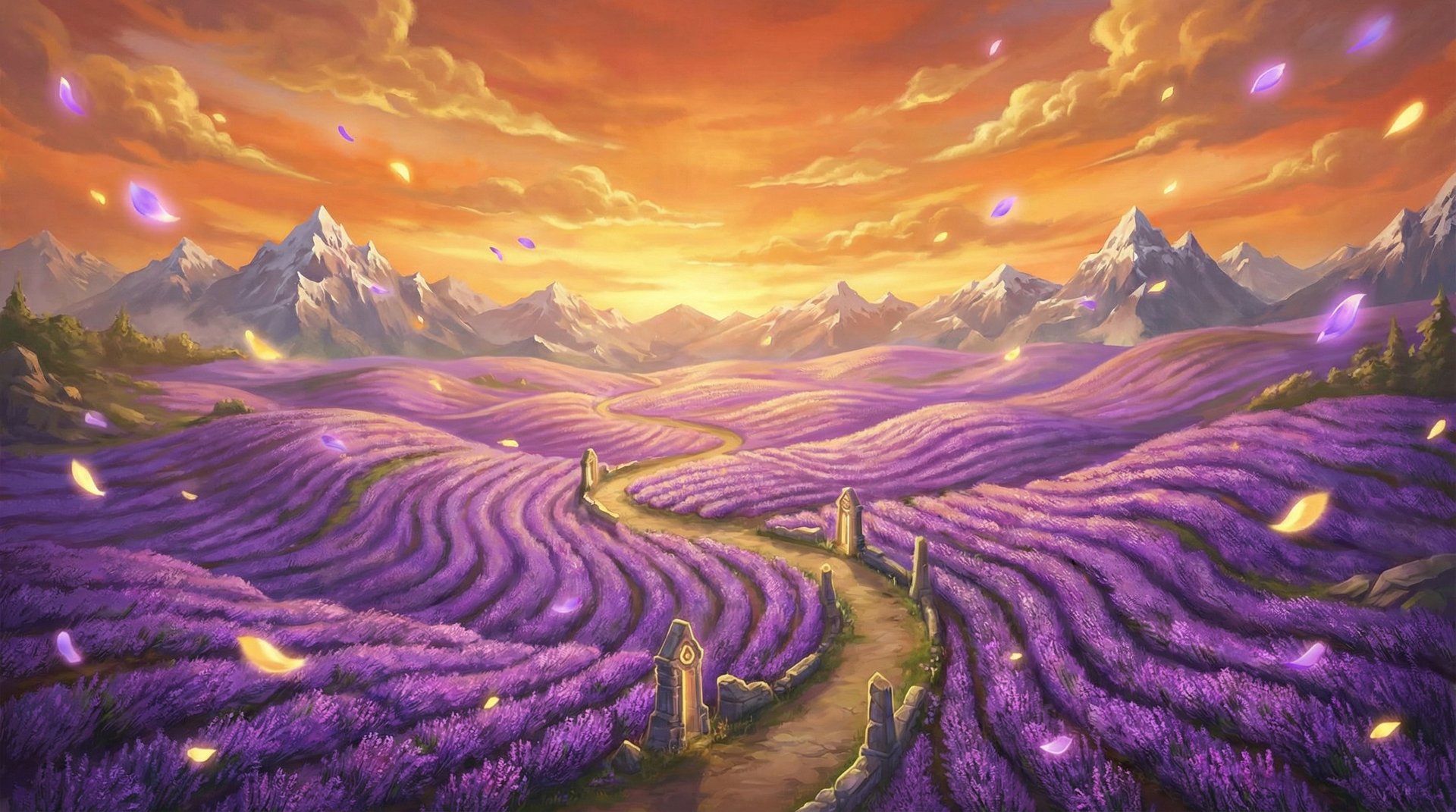 搜同网薰衣草花海航拍植物视频